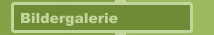 Bildergalerie